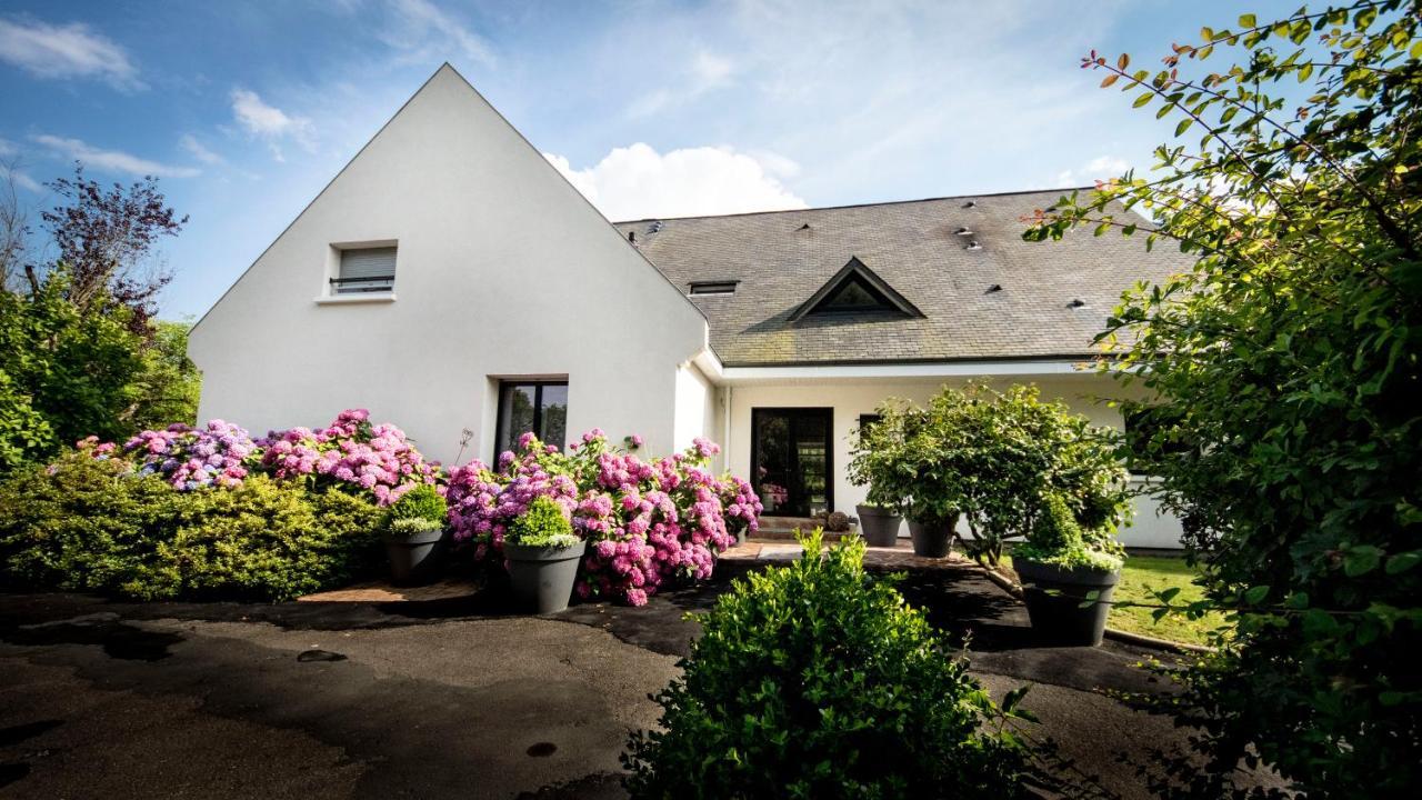 Le Champ Du Renne Bed and Breakfast Le Mans Eksteriør billede