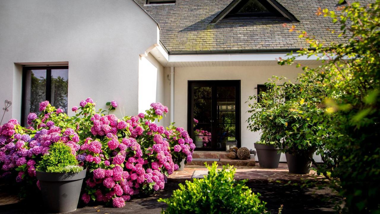 Le Champ Du Renne Bed and Breakfast Le Mans Eksteriør billede