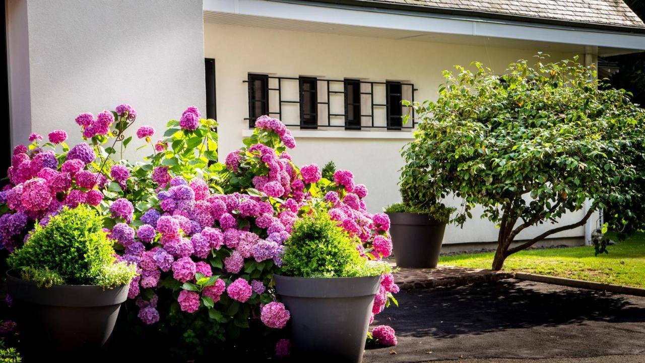 Le Champ Du Renne Bed and Breakfast Le Mans Eksteriør billede